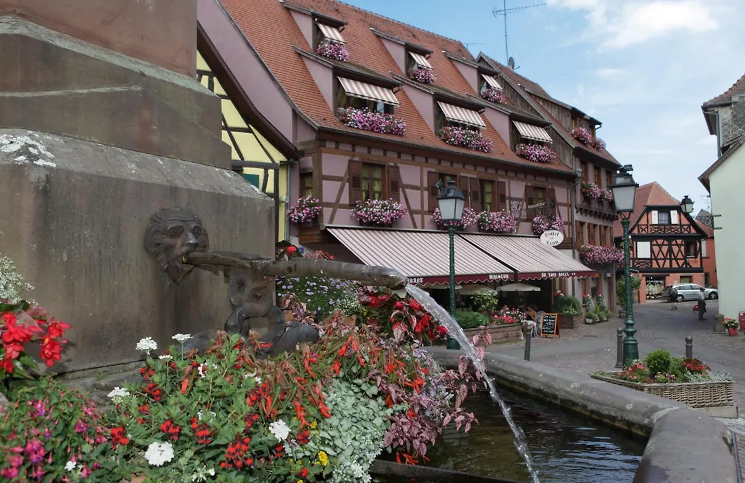 Hôtel Au Lion-1